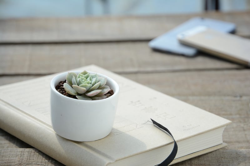 Recycled Planter