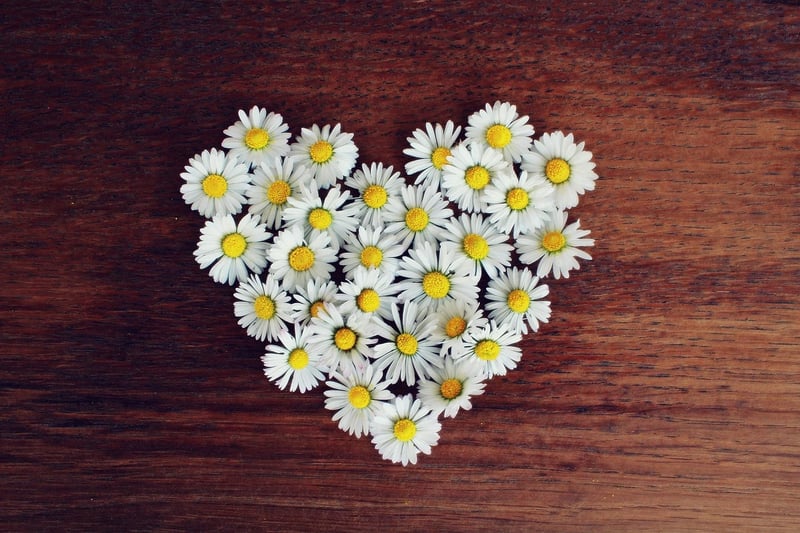 Heart-shaped handmade gift