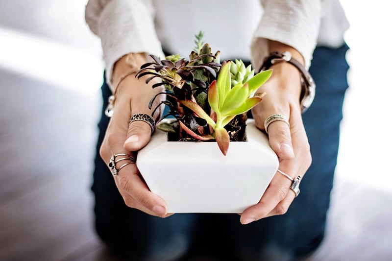 Newspaper Seedling Pots